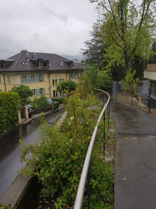Viva Luzern Dreilinden | Kreative Metallgestaltung Christen GmbH
